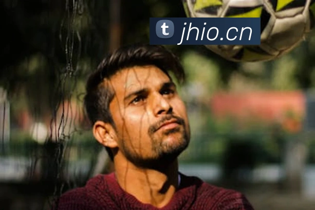 云开体育官网首页登录平台生态图